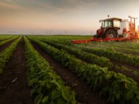 自三月份以来，加拿大的工作许可水平保持稳定