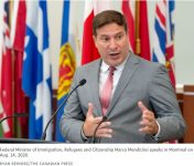 突发！加拿大再次大赦！狂送九万枫叶卡！这三类人受益！